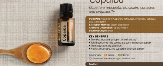 COPAIBA, de la doTERRA – uleiul esential cu cel mai puternic efect antiinflamator